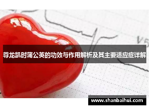 尊龙凯时蒲公英的功效与作用解析及其主要适应症详解